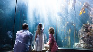 Aquarium