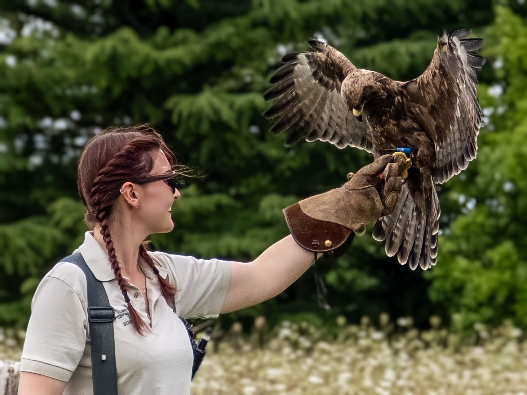 41 23 Hawk Conservancy T5 19082023 0307 Copy3
